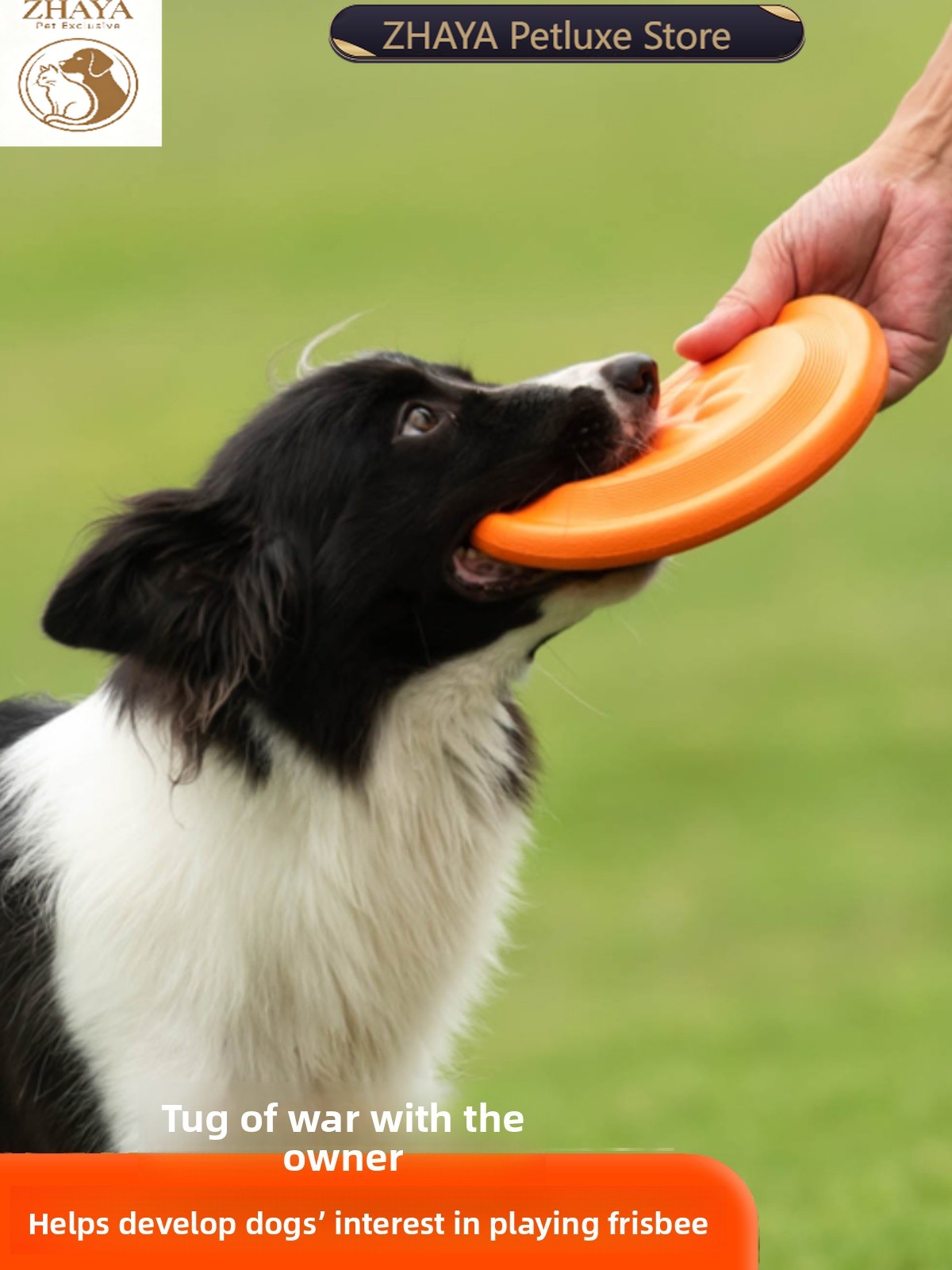 Flying Disc Dog Training Toy - قرص طائر للكلاب ناعم ومتين ومقاوم
