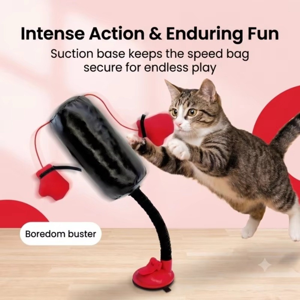 Interactive Squeaky Plush Dog Toy - لعبة قتال القطط بقاعدة شفط، قائمة