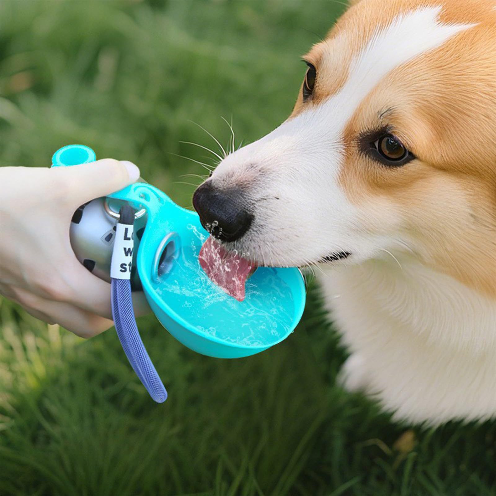 Pet Feeders - وعاء ماء محمول من السيليكون للحيوانات