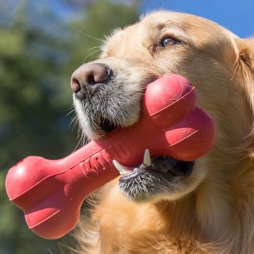 Rubber Treat Dispensing Dog Toy - عظم كلب كلاسيكي متين من المطاط
