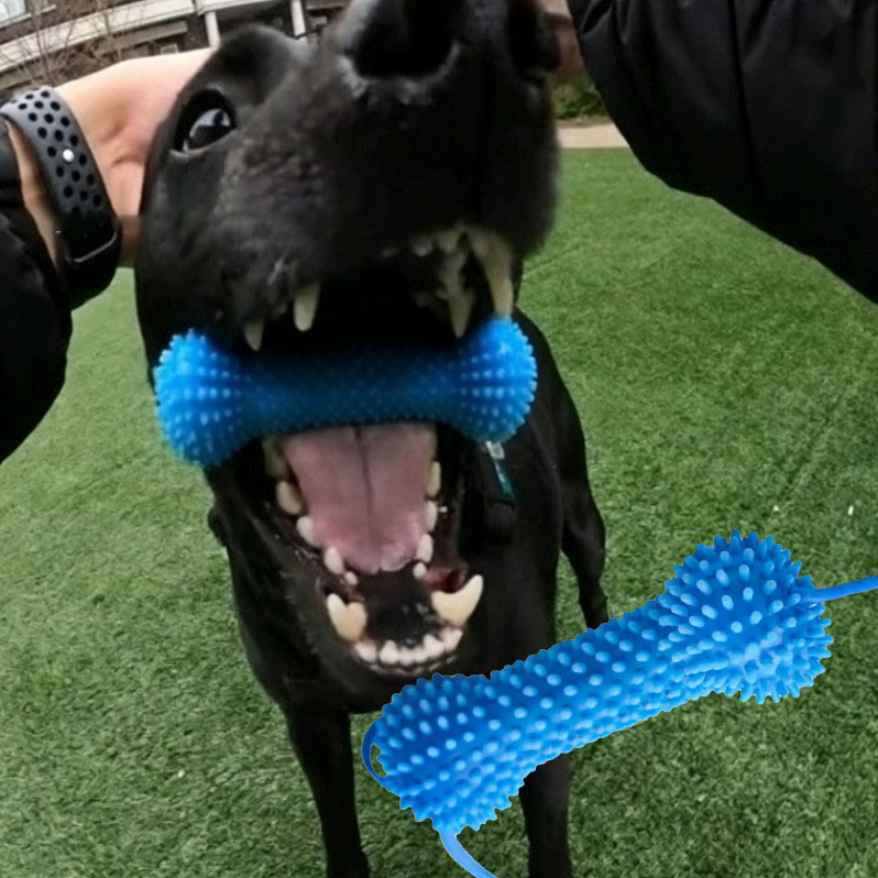 Rubber Treat Dispensing Dog Toy - لعبة تنظيف أسنان الكلاب مع كوب