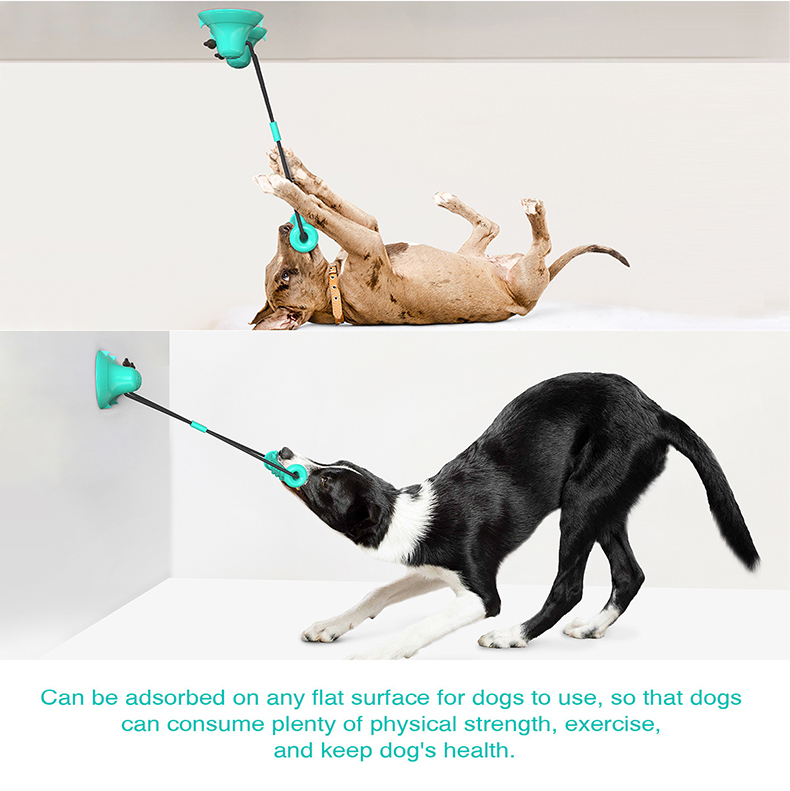 Suction Cup Dog Tug Toy - لعبة مصاصة مزدوجة الشفط للكلاب، لعبة