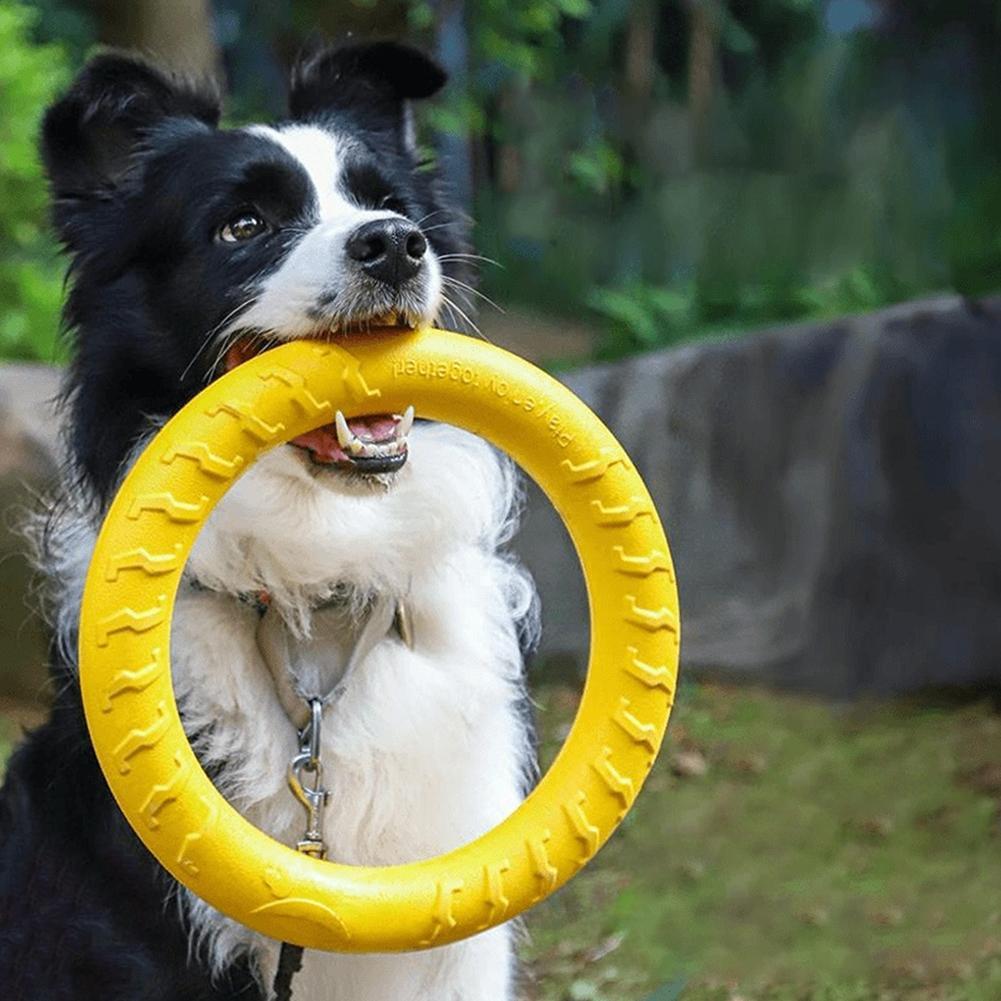 Suction Cup Dog Tug Toy - ألعاب حلقات للكلاب غير قابلة للتدمير،