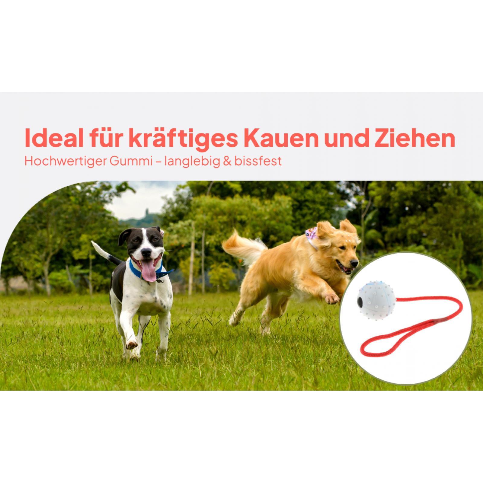 Rubber Treat Dispensing Dog Toy - لعبة تدريب الحيوانات الأليفة، كرة مطاطية