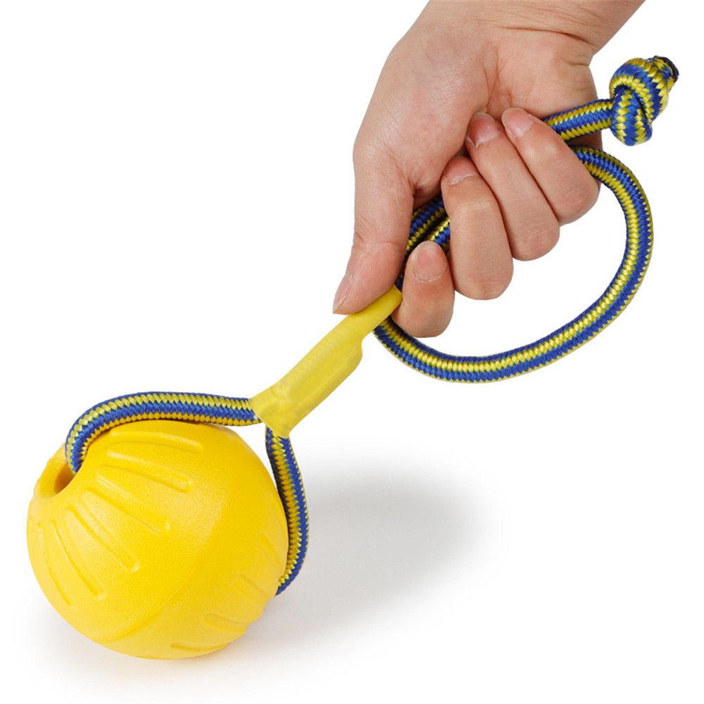 7 سنتيمتر/9 سنتيمتر الأصفر غير - مراجعة Suction Cup Dog Tug Toy وسعره