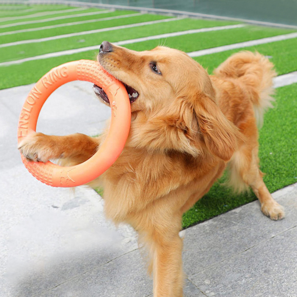 1 ، ألعاب كلاب برتقالية اللون  - مراجعة Flying Disc Dog Training Toy وسعره