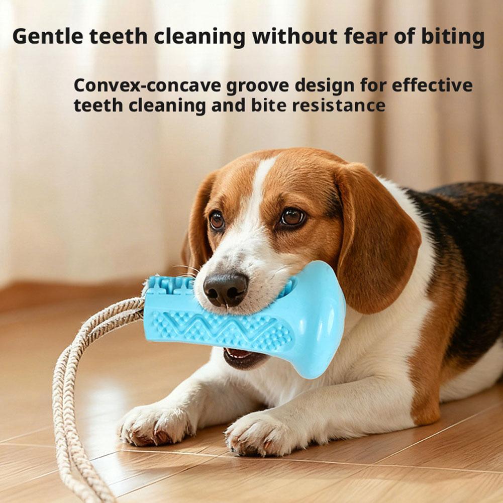 لعبة مضغ للكلاب بكأس شفط، لعبة - مراجعة Suction Cup Dog Tug Toy وسعره