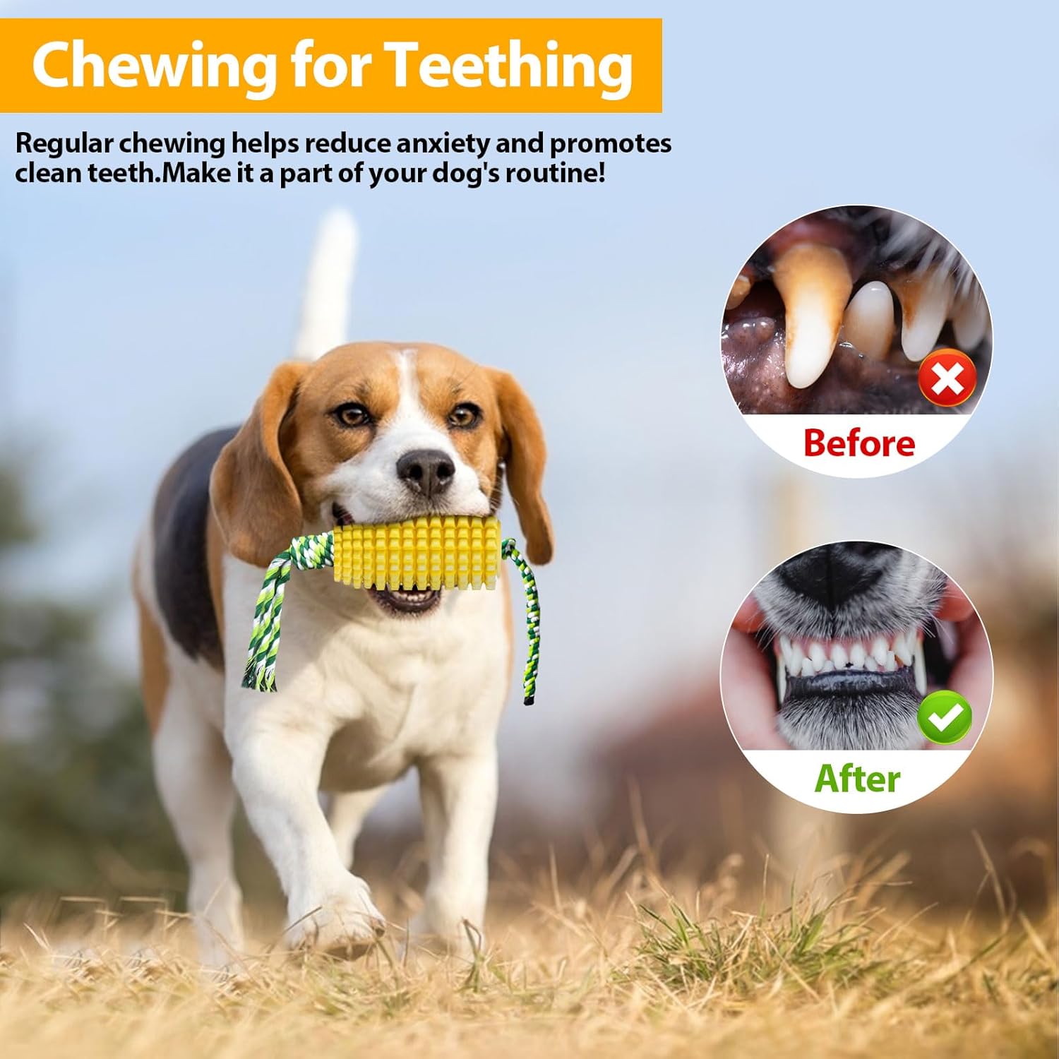 لعبة مضغ الكلب على شكل ذرة للم - مراجعة Dog Rope Toy Aggressive Chewers وسعره