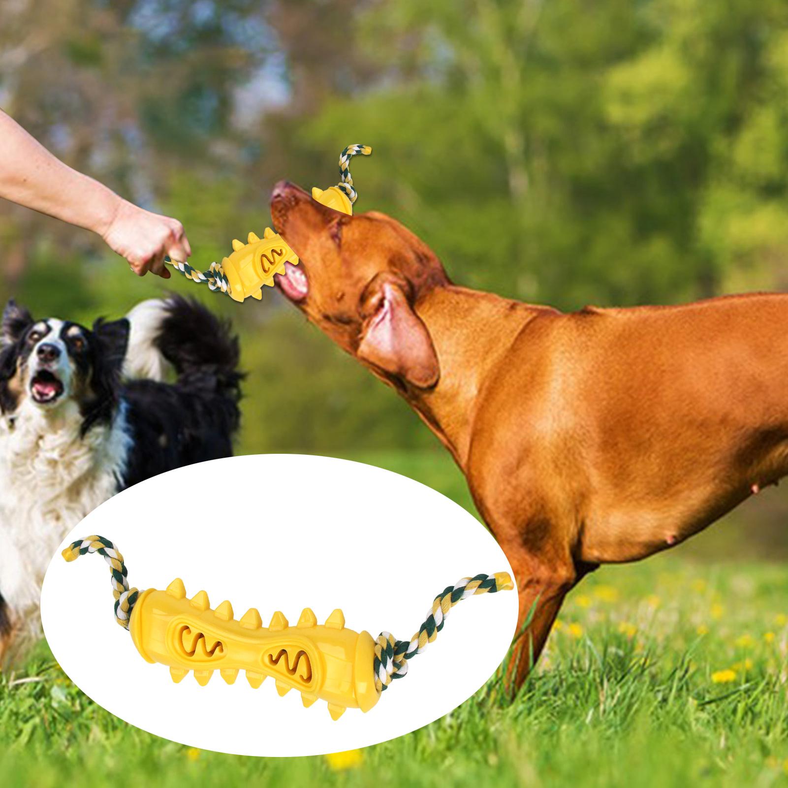 مضغ اللعب للمضغ العدواني لوازم - مراجعة Dog Rope Toy Aggressive Chewers وسعره