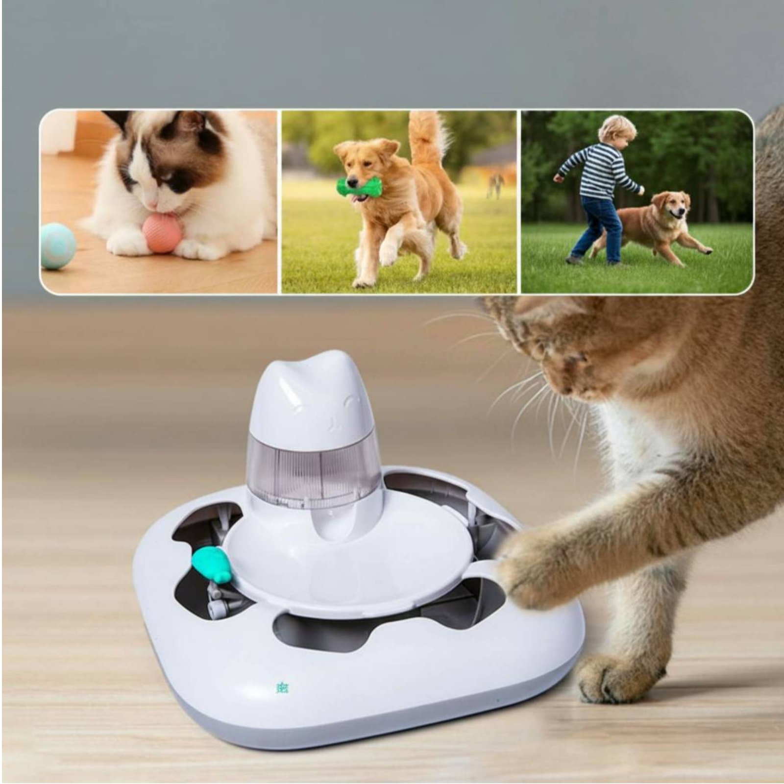 جهاز صيد القطط التفاعلي، لعبة  - مراجعة Cat Toys وسعره