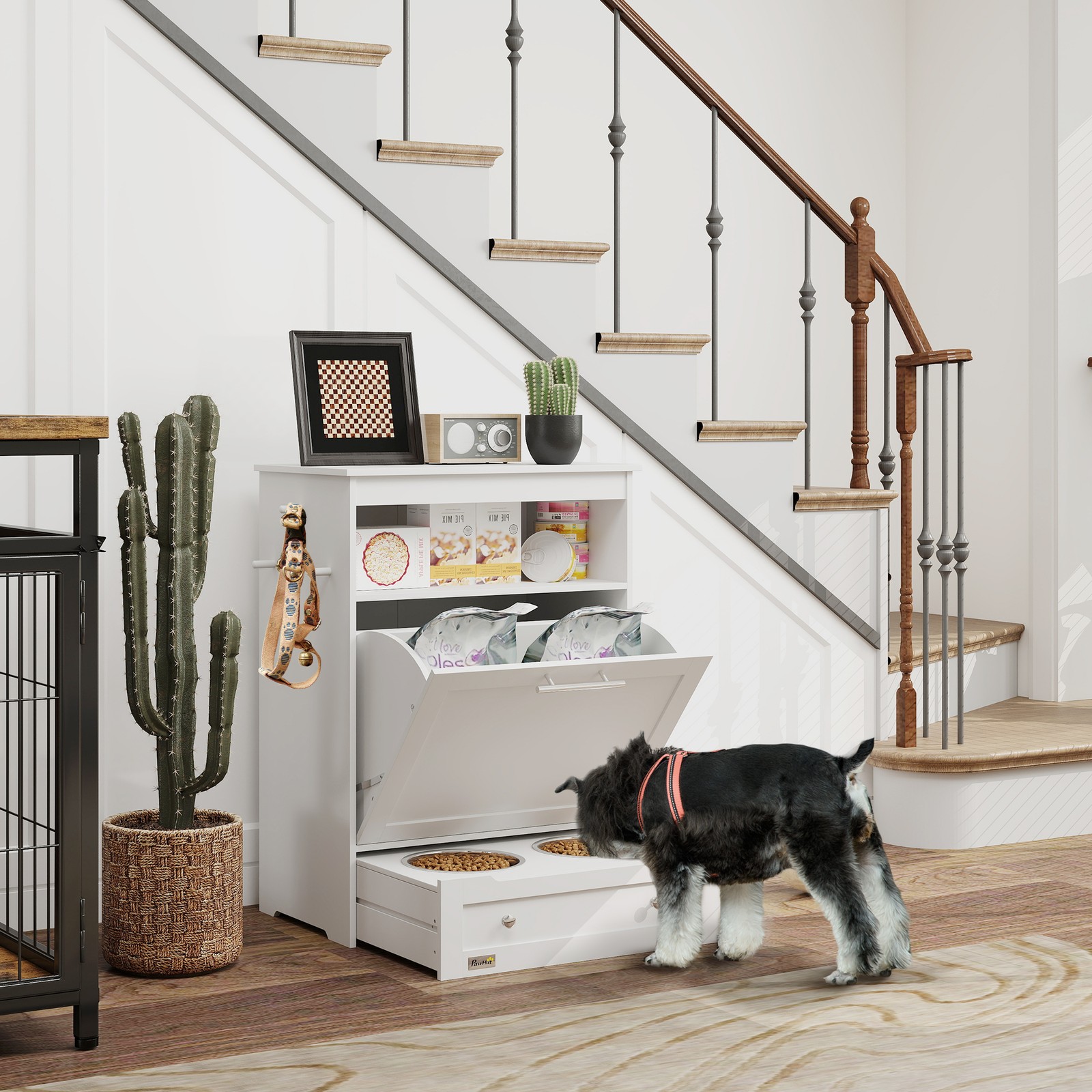 محطة تغذية الحيوانات الأليفة،  - مراجعة Pet Feeders وسعره