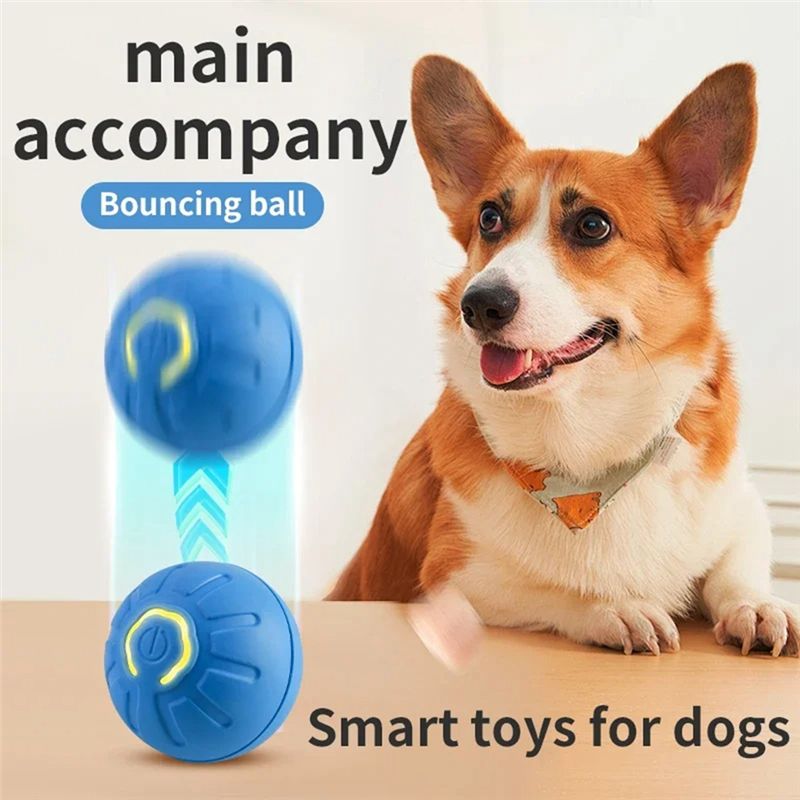 كرة ذكية للكلاب AT84-2PCS، كرة - مراجعة Automatic Moving Dog Ball وسعره