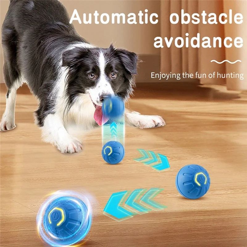 كرة ذكية للكلاب AT84-2PCS، كرة - مراجعة Automatic Moving Dog Ball وسعره