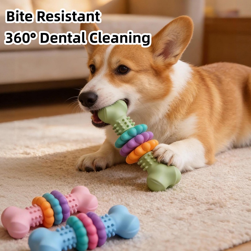 لعبة مضغ للكلاب من مادة TPR مت - مراجعة Teeth Cleaning Dog Chew Bone وسعره