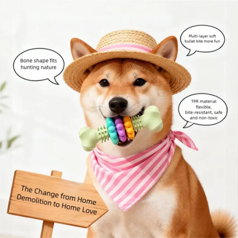 لعبة مضغ للكلاب من مادة TPR مت - مراجعة Teeth Cleaning Dog Chew Bone وسعره