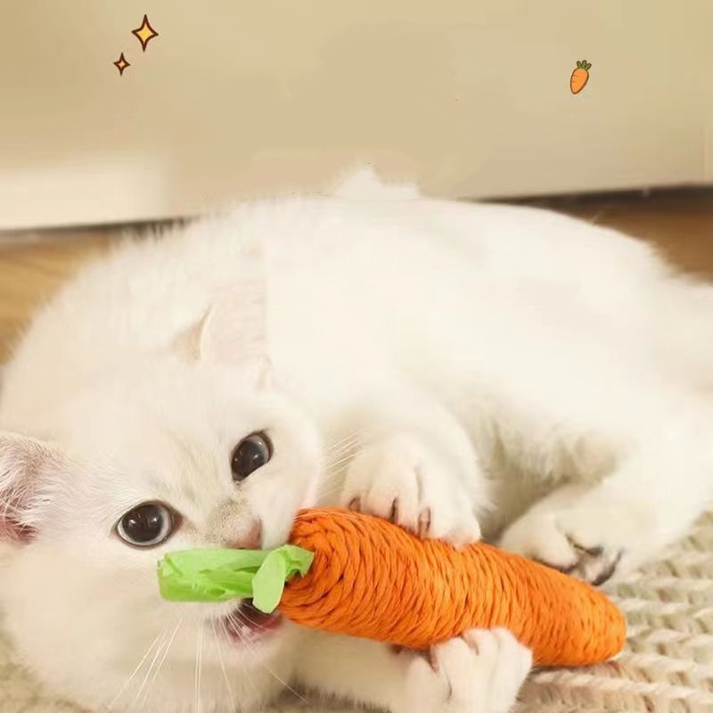 لعبة التسنين الممتعة للقطط، لع - مراجعة Snuffle Mat For Dogs وسعره