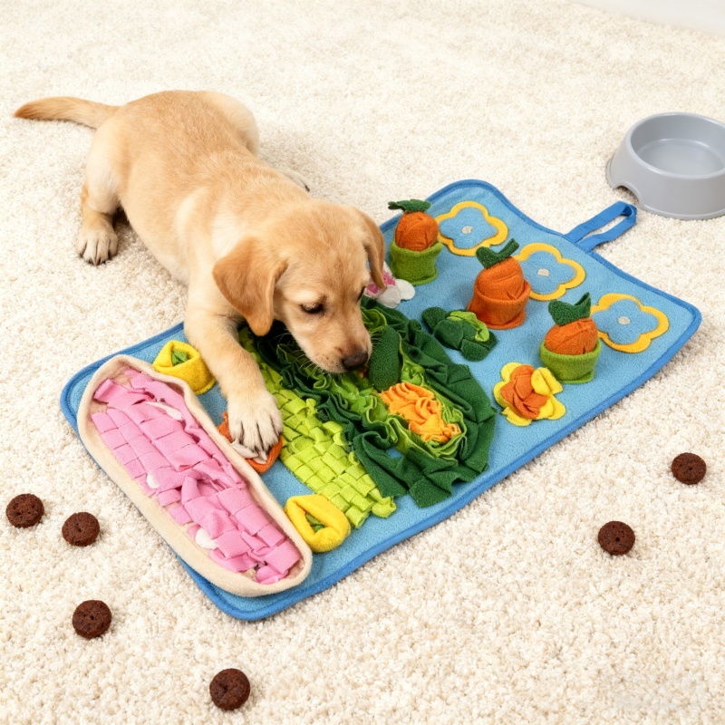 سجادة تدريب الكلاب للعب والتحف - مراجعة Snuffle Mat For Dogs وسعره