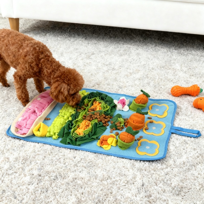 سجادة تدريب الكلاب للعب والتحف - مراجعة Snuffle Mat For Dogs وسعره