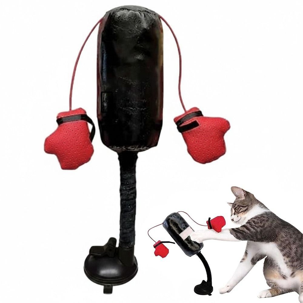 لعبة قتال القطط بقاعدة شفط، قا - مراجعة Interactive Squeaky Plush Dog Toy وسعره