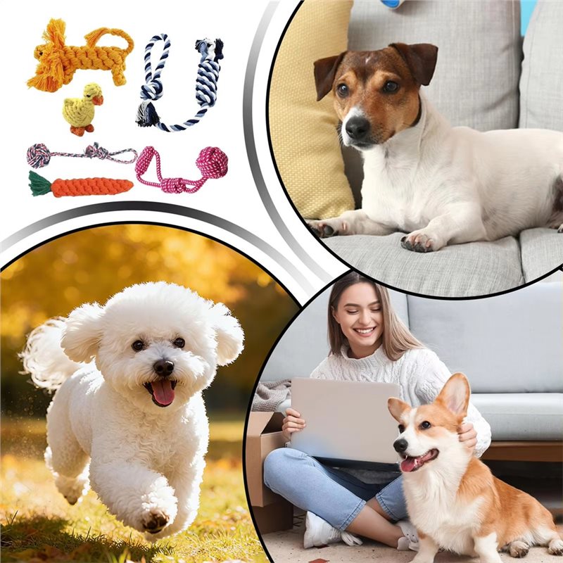 حبل للكلاب 6 قطع من القطن، مست - مراجعة Dog Rope Toy Aggressive Chewers وسعره