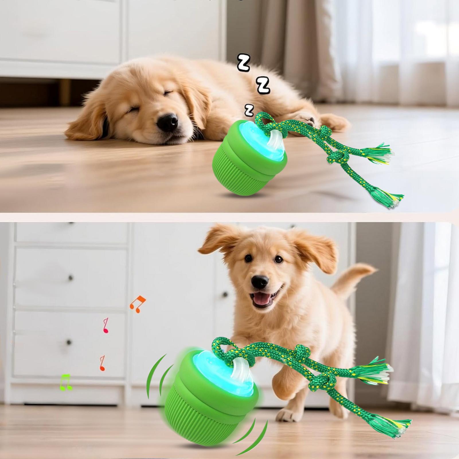 كرة الكلب التفاعلية، كرة متحرك - مراجعة Automatic Moving Dog Ball وسعره