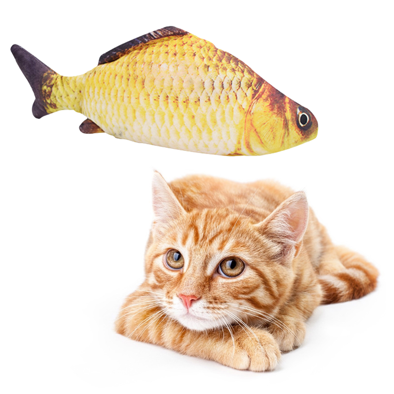 ألعاب القطط على شكل سمكة، سمكة - مراجعة Electric Floppy Fish Dog Toy وسعره