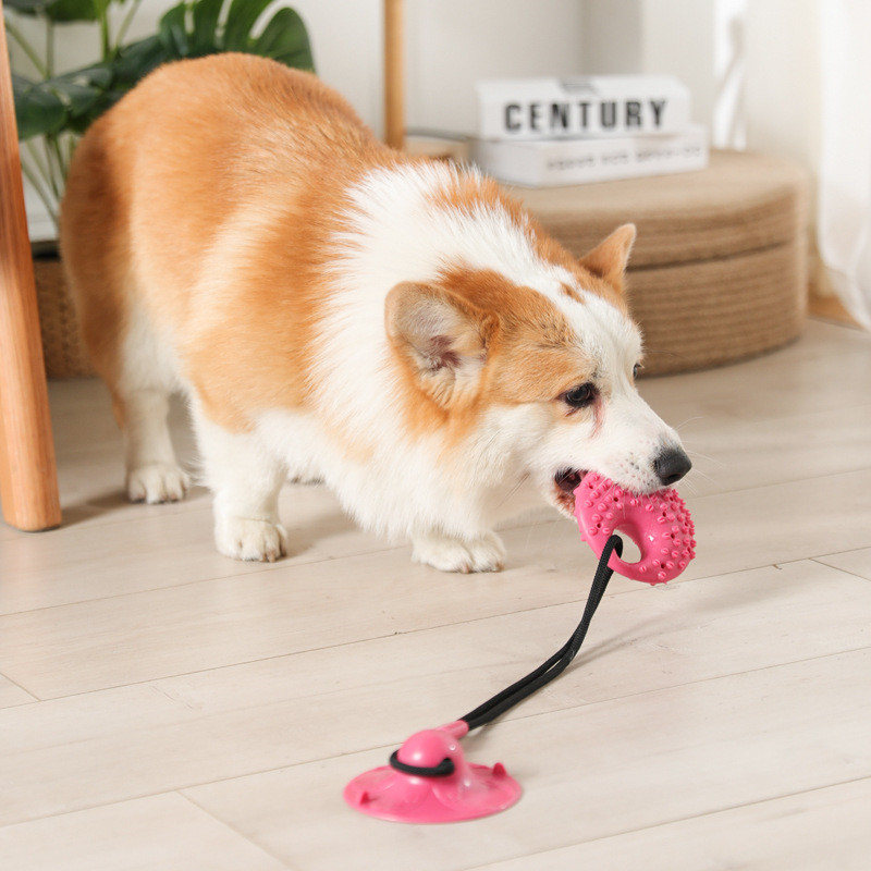 ألعاب الكلب كوب شفط السيليكون  - مراجعة Suction Cup Dog Tug Toy وسعره
