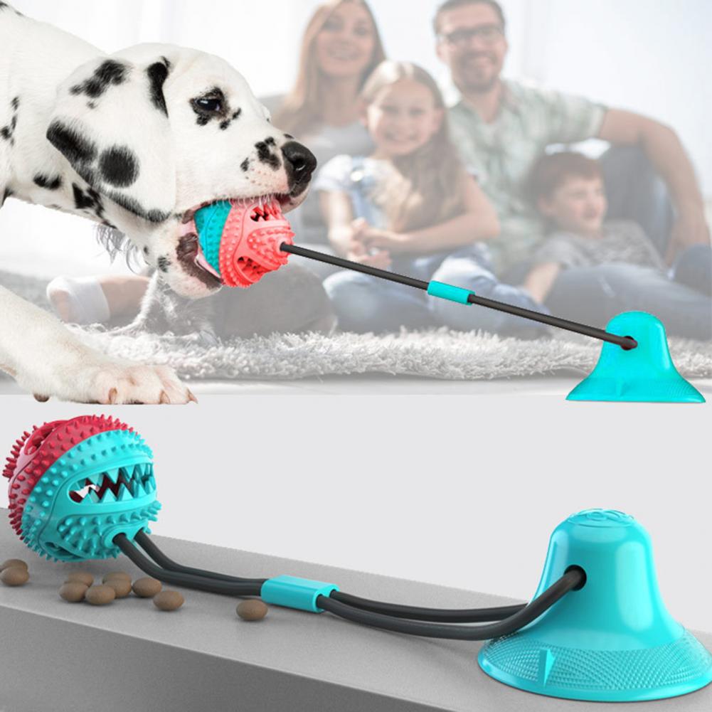 الكلب مضغ اللعب للمضغ العدواني - مراجعة Suction Cup Dog Tug Toy وسعره