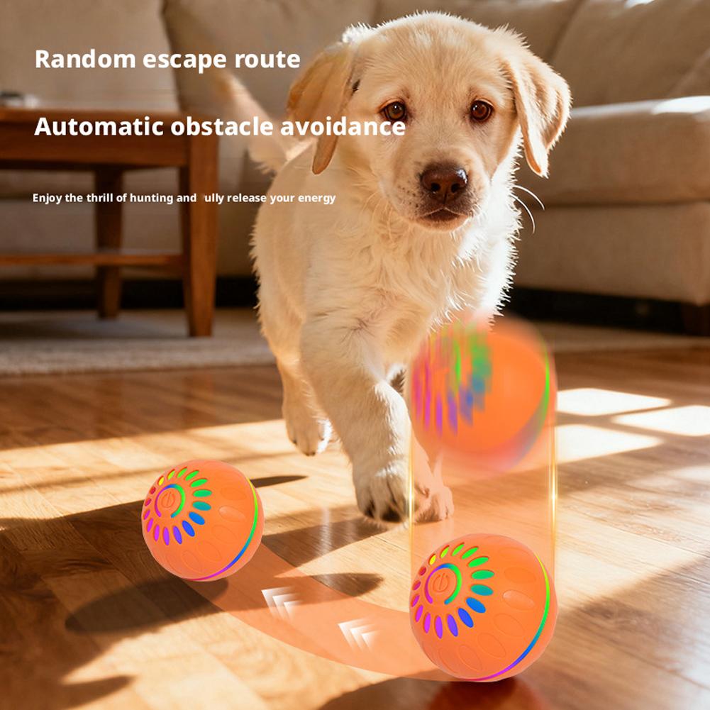 كرة لعبة ذكية للكلاب تتحرك تلق - مراجعة Automatic Moving Dog Ball وسعره