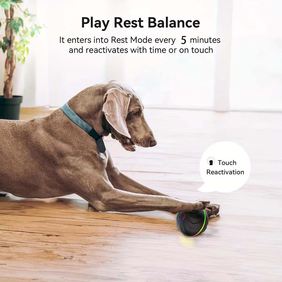 كرات ألعاب ذكية تفاعلية للكلاب - مراجعة Automatic Moving Dog Ball وسعره