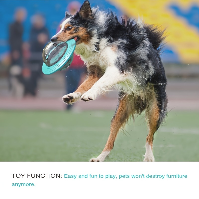 التصميم التفاعلي الكلب العاب ك - مراجعة Dog Puzzle Feeder Toy وسعره