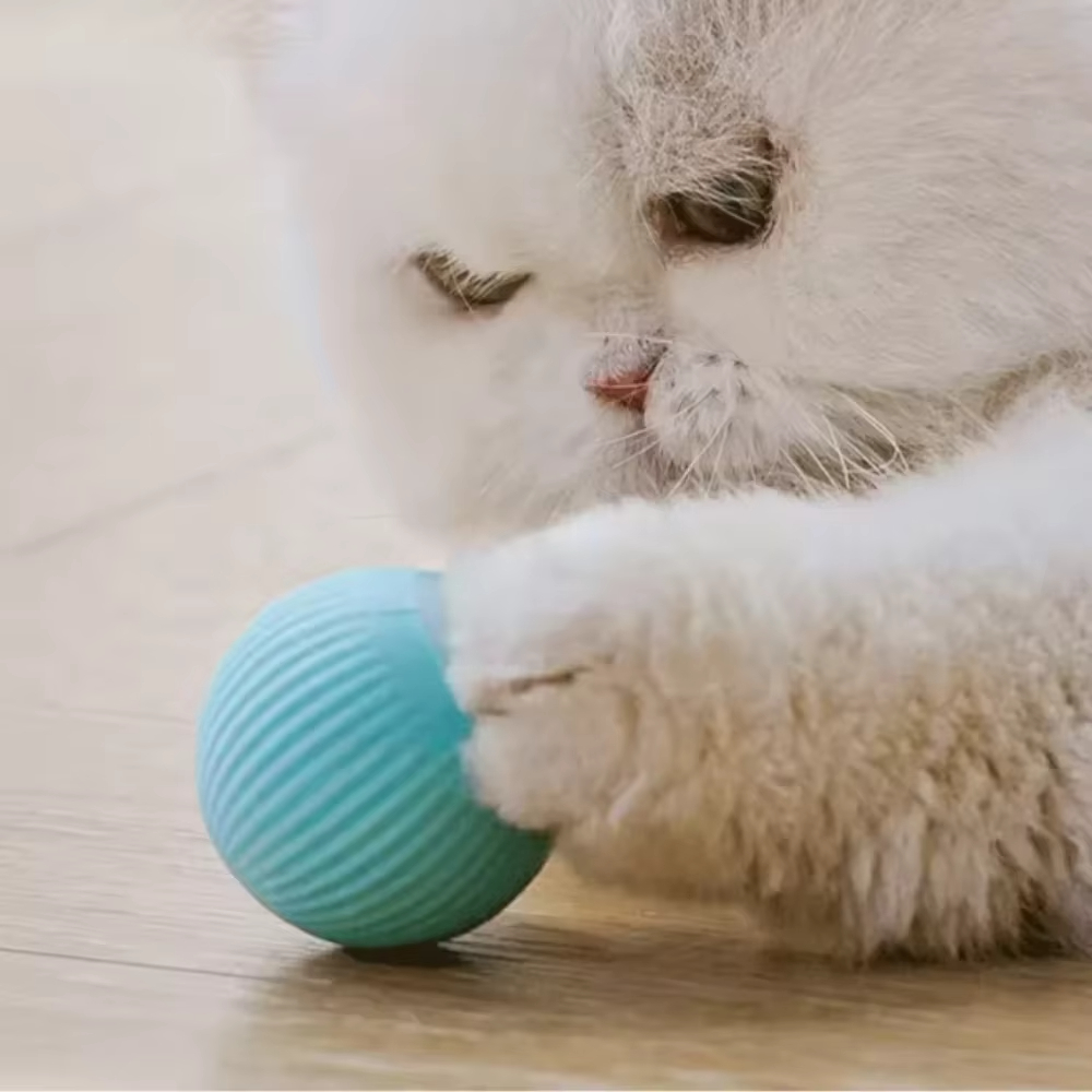 كرة متحركة أوتوماتيكية للكلاب  - مراجعة Automatic Moving Dog Ball وسعره