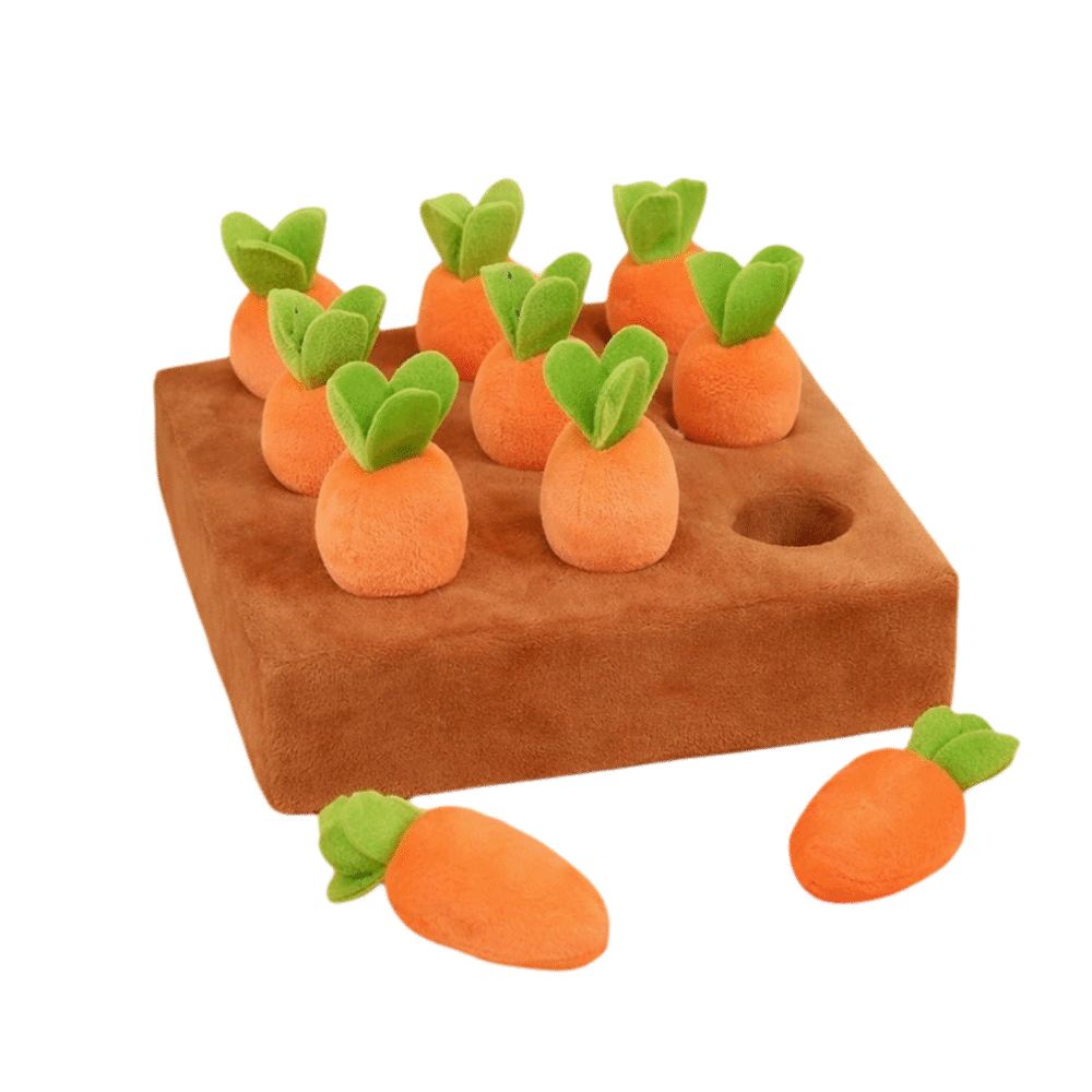 بساط تسلية للكلاب على شكل جزر  - مراجعة Dog Puzzle Feeder Toy وسعره