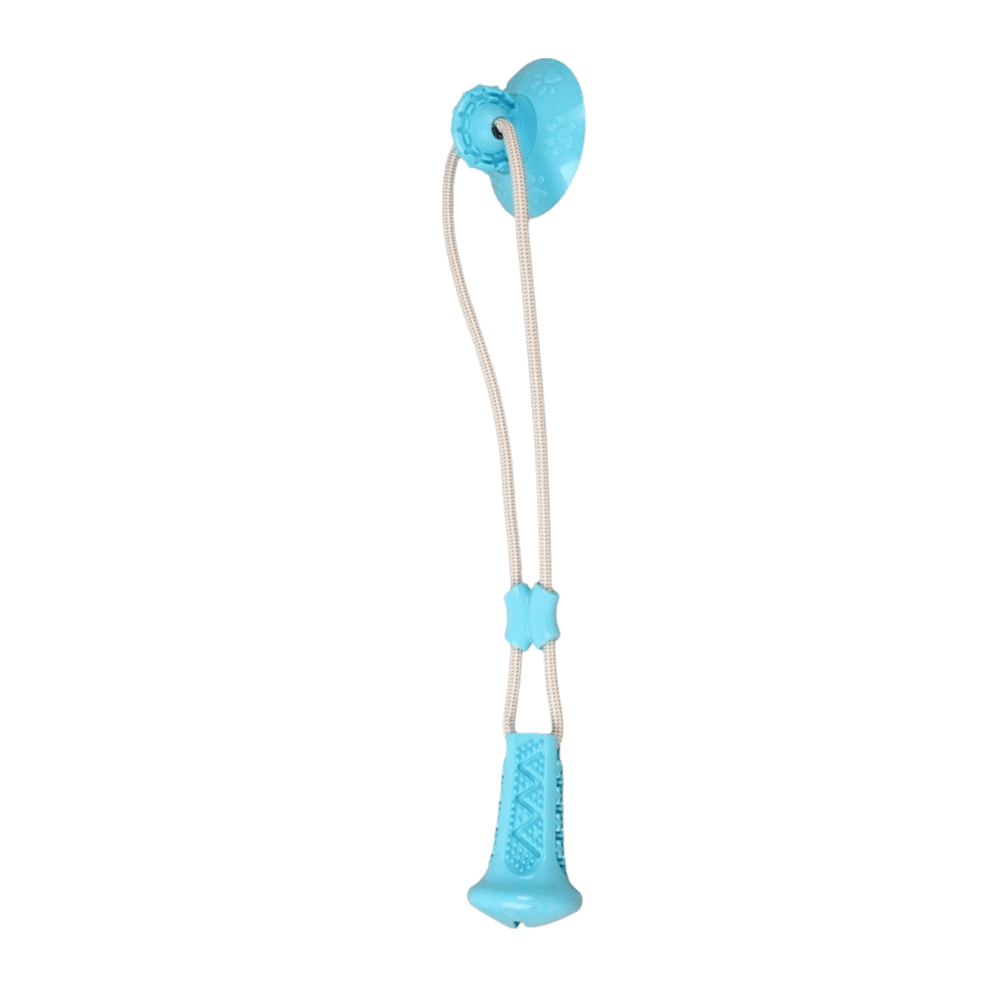 لعبة كلاب مقاومة للعض مع كأس ش - مراجعة Suction Cup Dog Tug Toy وسعره