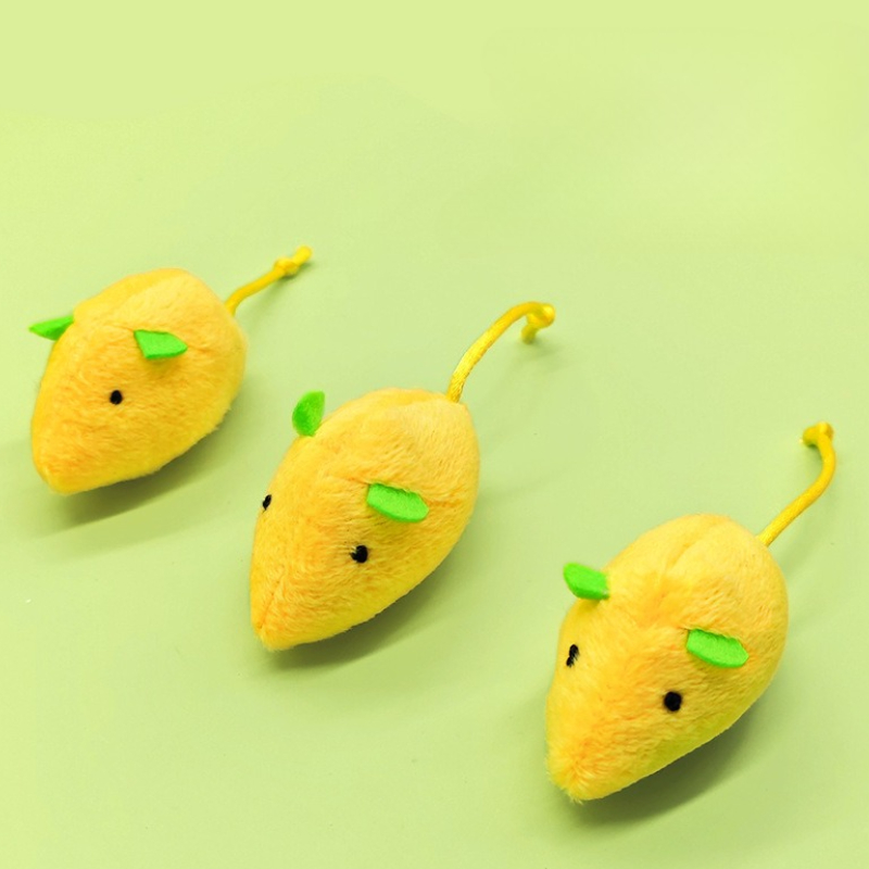 5 قطعة القط مضغ ألعاب من نسيج  - مراجعة Catnip Interactive Plush Mouse وسعره