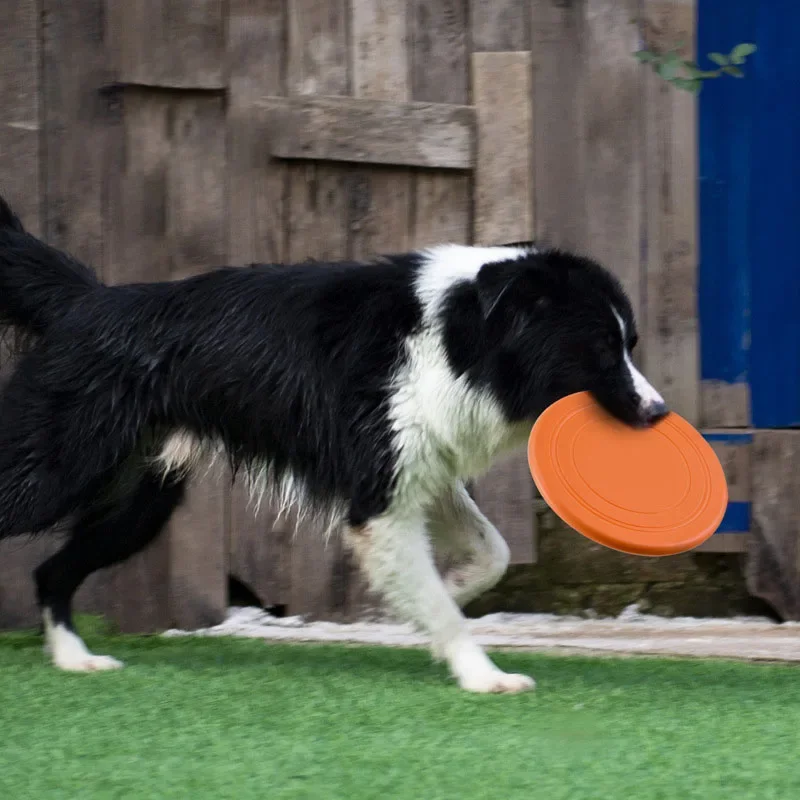 صحن طائر من السيليكون للكلاب و - مراجعة Flying Disc Dog Training Toy وسعره