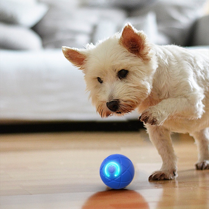 لعبة الكلب الذكية الكرة USB ال - مراجعة Automatic Moving Dog Ball وسعره