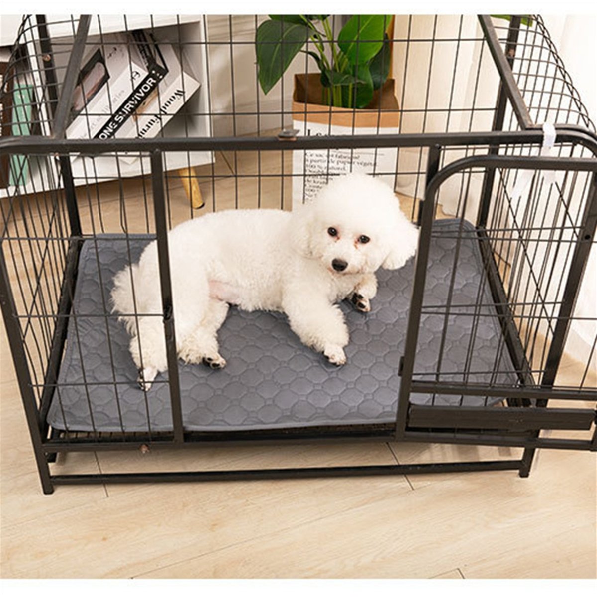 *A14E بطانية قابلة لإعادة الاس - مراجعة Pet Beds وسعره