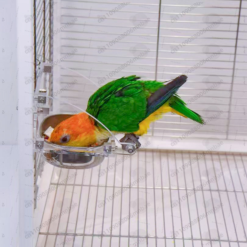 صندوق طعام للببغاء من الفولاذ  - مراجعة Pet Feeders وسعره
