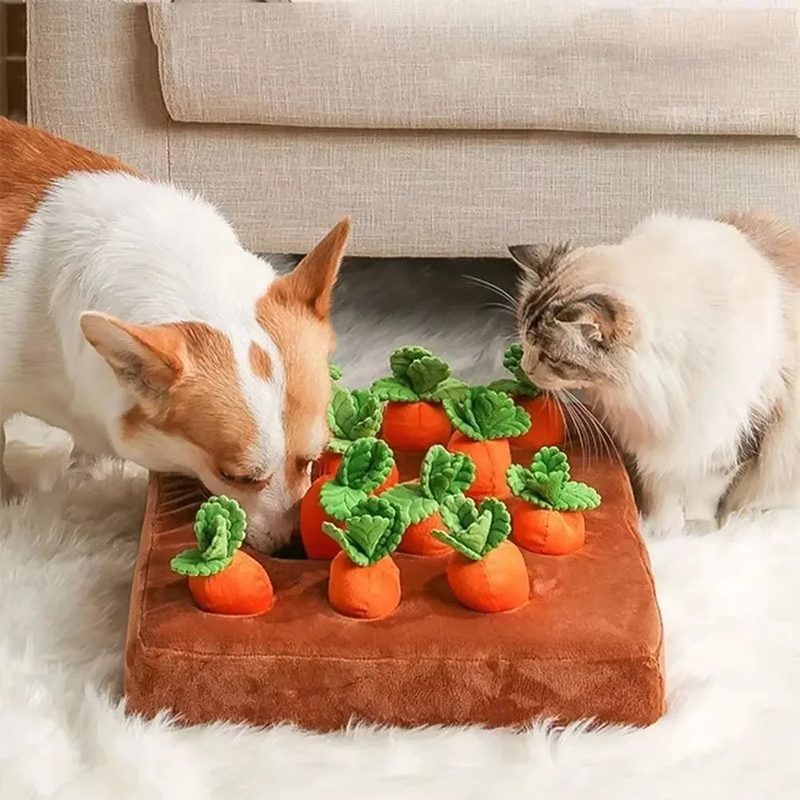 بساط التنقيط للكلاب، ألعاب تفا - مراجعة Snuffle Mat For Dogs وسعره