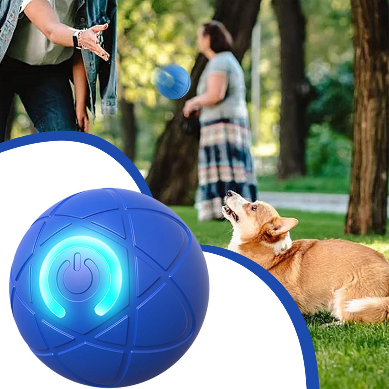 كرة ألعاب ذكية للكلاب، لعبة إل - مراجعة Automatic Moving Dog Ball وسعره