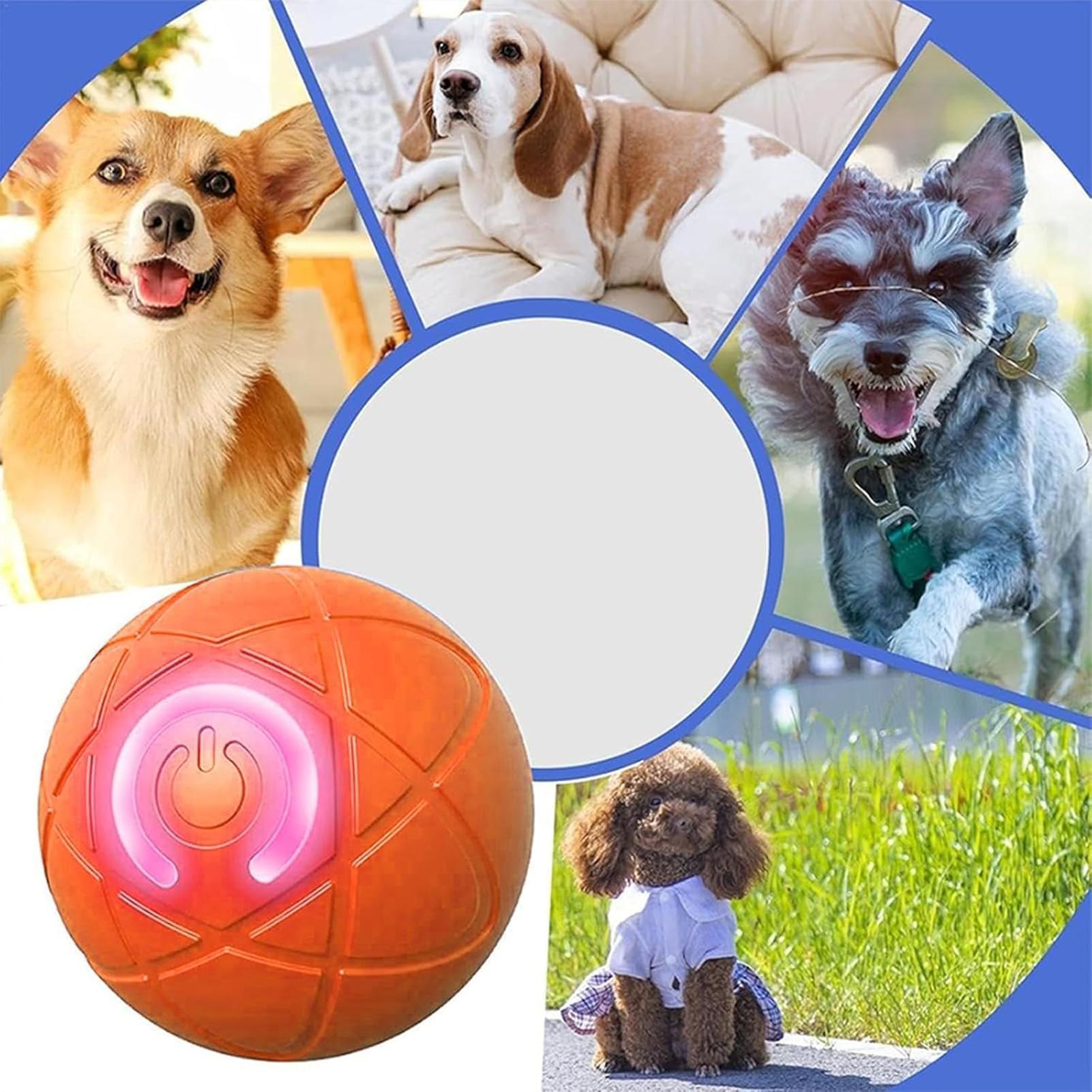 كرة ألعاب ذكية للكلاب، لعبة إل - مراجعة Automatic Moving Dog Ball وسعره