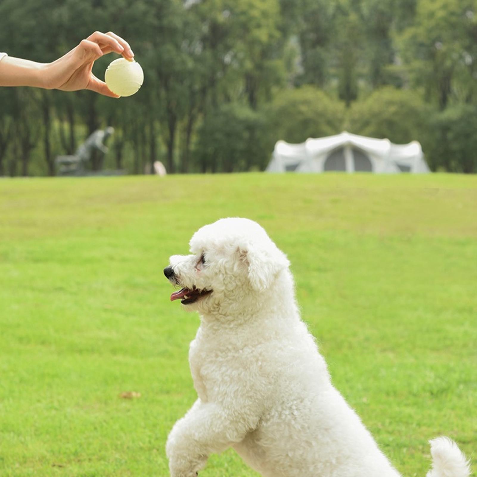 كرات لعبة الكلب تتوهج في الظلا - مراجعة Dog Rope Toy Aggressive Chewers وسعره