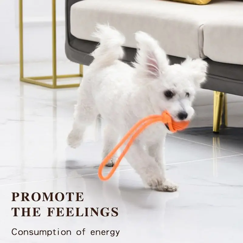 كرة تدريب الكلاب ، مصنوعة من ح - مراجعة Suction Cup Dog Tug Toy وسعره