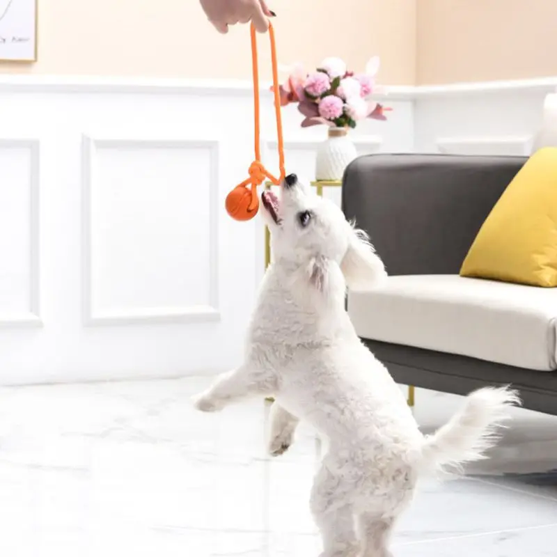 كرة تدريب الكلاب ، مصنوعة من ح - مراجعة Suction Cup Dog Tug Toy وسعره