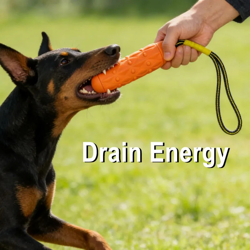 لعبة مضغ للكلاب غير قابلة للتل - مراجعة Dog Rope Toy Aggressive Chewers وسعره