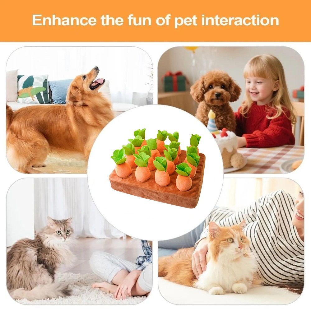 بساط تسلية للقطط لتخفيف التوتر - مراجعة Snuffle Mat For Dogs وسعره