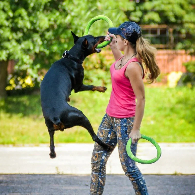 أقراص تحلق إيفا الكلب التدريب  - مراجعة Suction Cup Dog Tug Toy وسعره