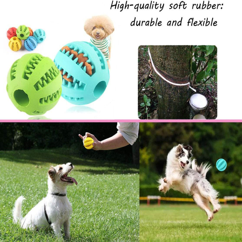 كرة لعبة تفاعلية مضادة للعض من - مراجعة Dog Puzzle Feeder Toy وسعره