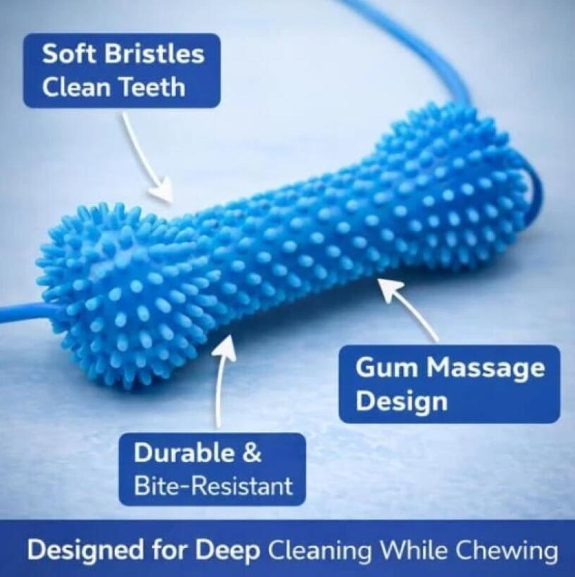 لعبة تنظيف أسنان الكلاب مع كوب - مراجعة Rubber Treat Dispensing Dog Toy وسعره